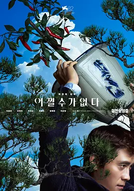 河北凌波赛鸽公棚春棚