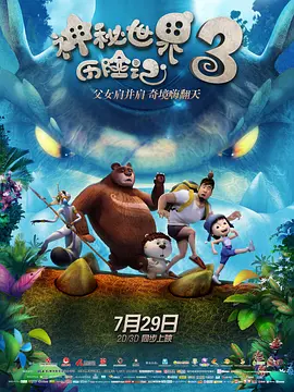 ddsm穿孔