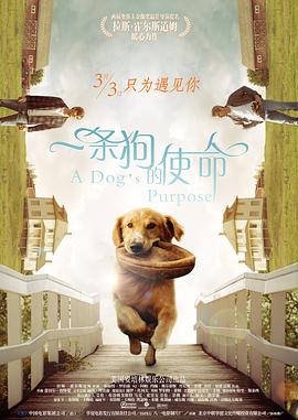 国产午夜精品不卡视频