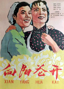 夫人家的琪琪
