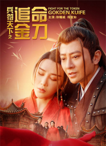 夜导航