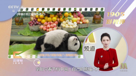 日韩欧美综合在线二区三区